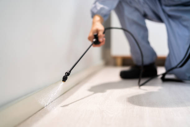 Licensed Termite Control service in Hurt, VA - Nex Pest Control