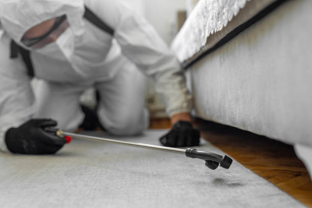 Professional Termite Control technician working in Hurt, VA