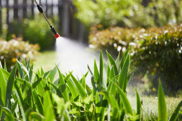 24/7 Emergency Termite Control experts in Hurt, VA