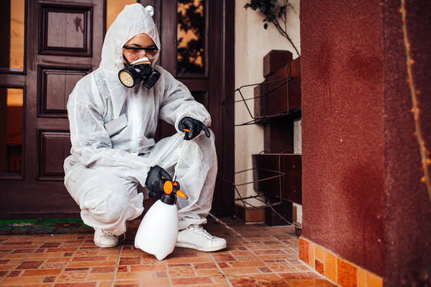 Reliable Termite Control contractor in Hurt, VA by Nex Pest Control