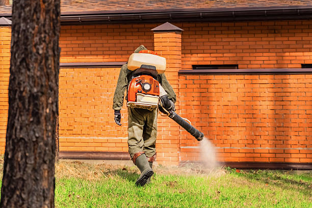 Top rated local Termite Control specialists in Hurt, VA